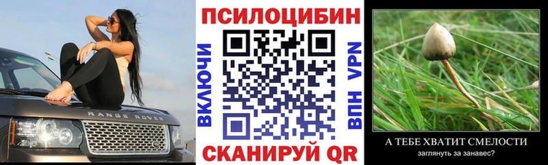 Псилоцибиновые грибы ЛСД  Новоржев 