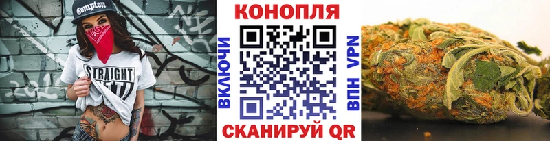 купить Новоржев Шишки марихуана гибрид